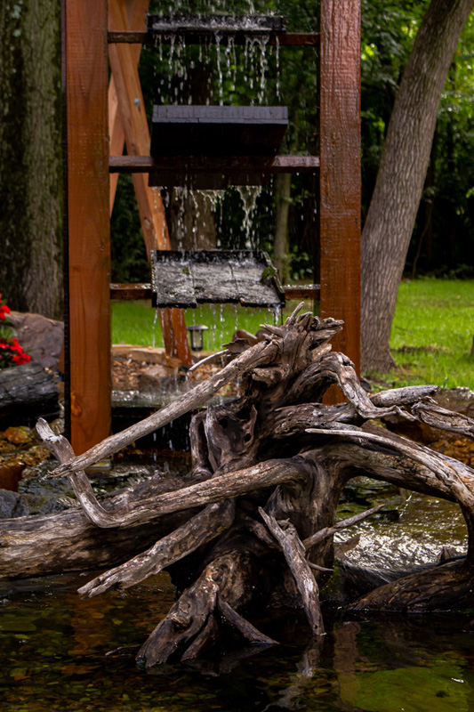 Spiny driftwood partially submerged in a wide, shallow stream with waterfall steps behind in a lush green forest.