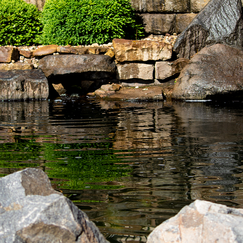 Pond Builders | Clarity Ponds in St. Louis, MO