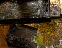Driftwood Water Steps