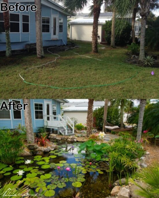 Before & after hybrid pond project