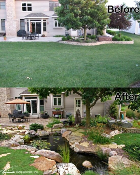 Before & after hybrid pond