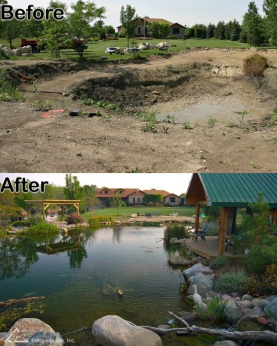 Before & after large scale hybrid pond