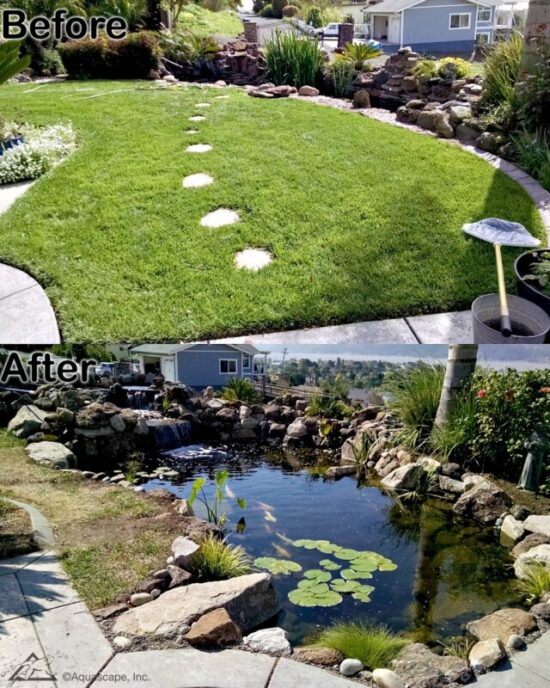 before and after of a dedicated koi pond created by Clarity Ponds