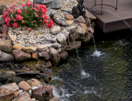 The importance of regulating your pond's water temperature if you have fish.